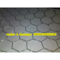 Galvanisierter Chicken Wire Mesh Box (Hexagoanl Netz)